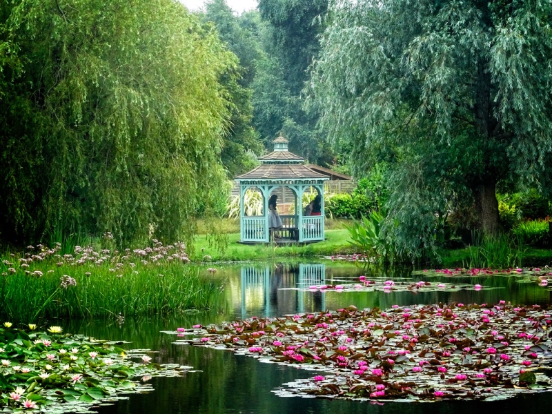 Bennetts Water Gardens